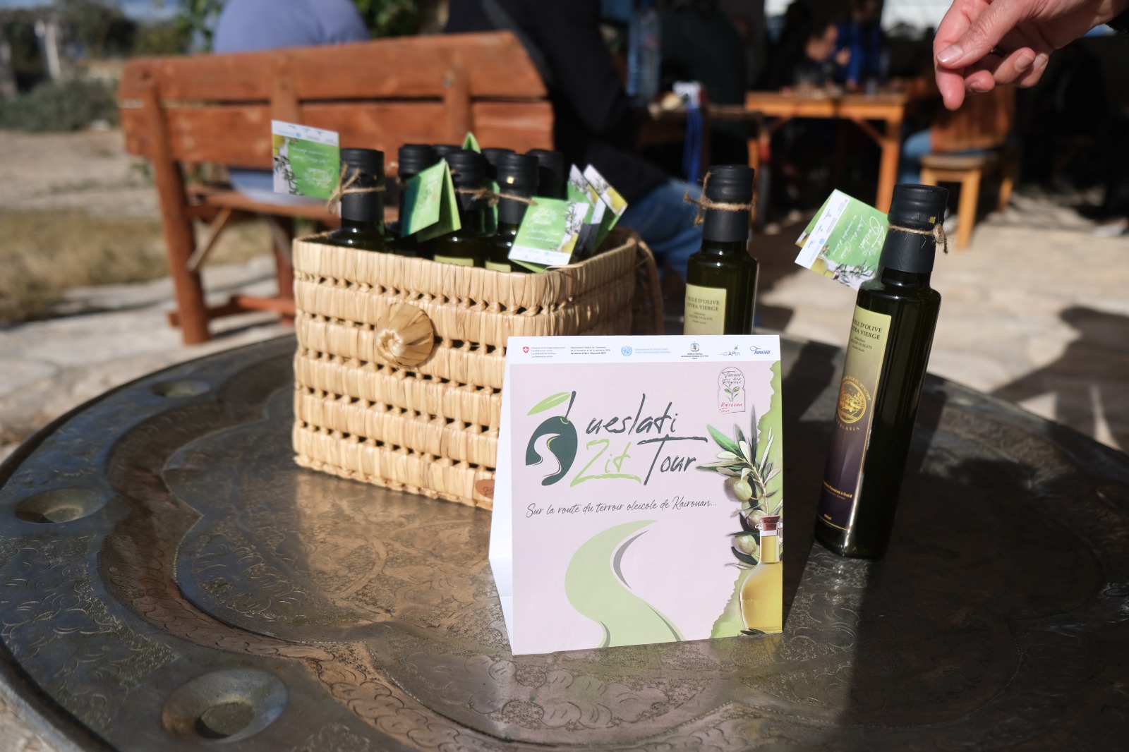 ولاية القيروان تطلق مسلكها السياحي الجديد لتثمين زيت الزيتون الوسلاتي